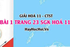 Giải bài 1 trang 23 Hoá 11 SGK Chân trời sáng tạo